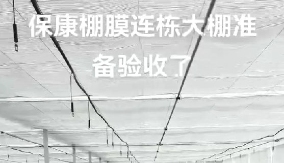 ?？蹬锬みB棟大棚準(zhǔn)備驗(yàn)收